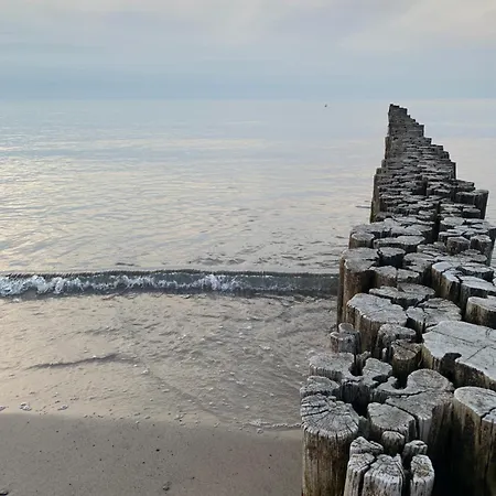 公寓 Jugendstil-villa Am Stadtwald *