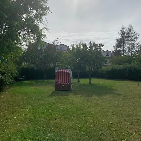 公寓 Jugendstil-villa Am Stadtwald Ostseebad Kühlungsborn