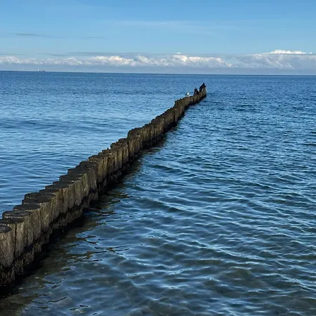 公寓 Jugendstil-villa Am Stadtwald *