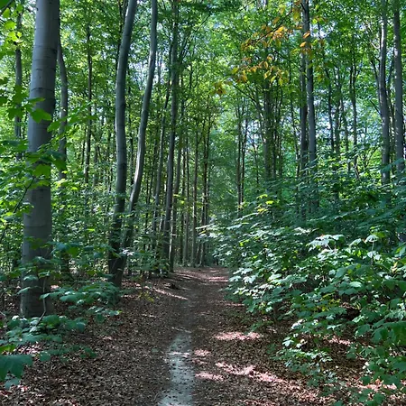 Jugendstil-villa Am Stadtwald