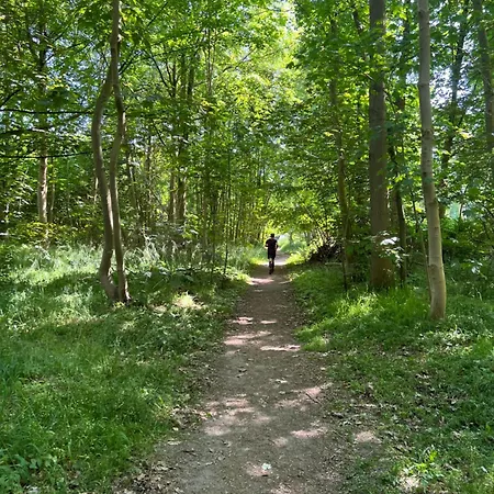 公寓 Jugendstil-villa Am Stadtwald *