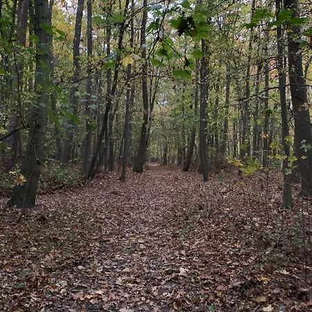 Jugendstil-villa Am Stadtwald 公寓