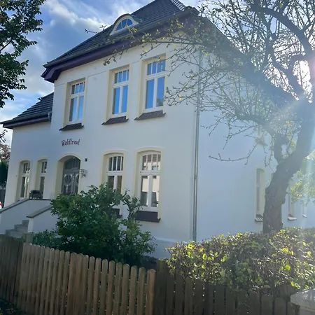 公寓 Jugendstil-villa Am Stadtwald